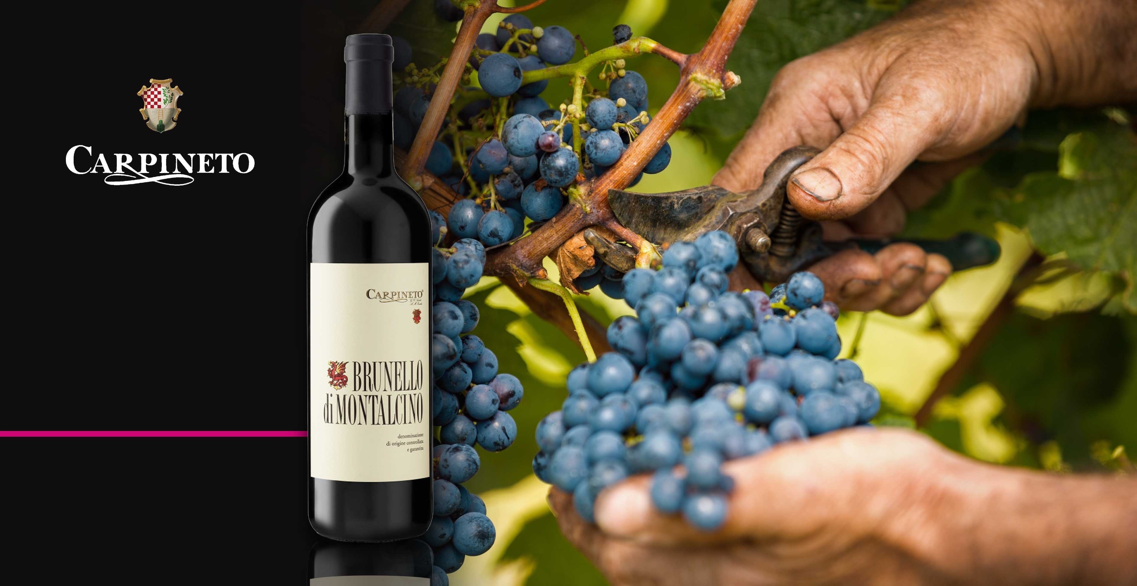 Vin rouge - Carpineto - Brunello di Montalcino