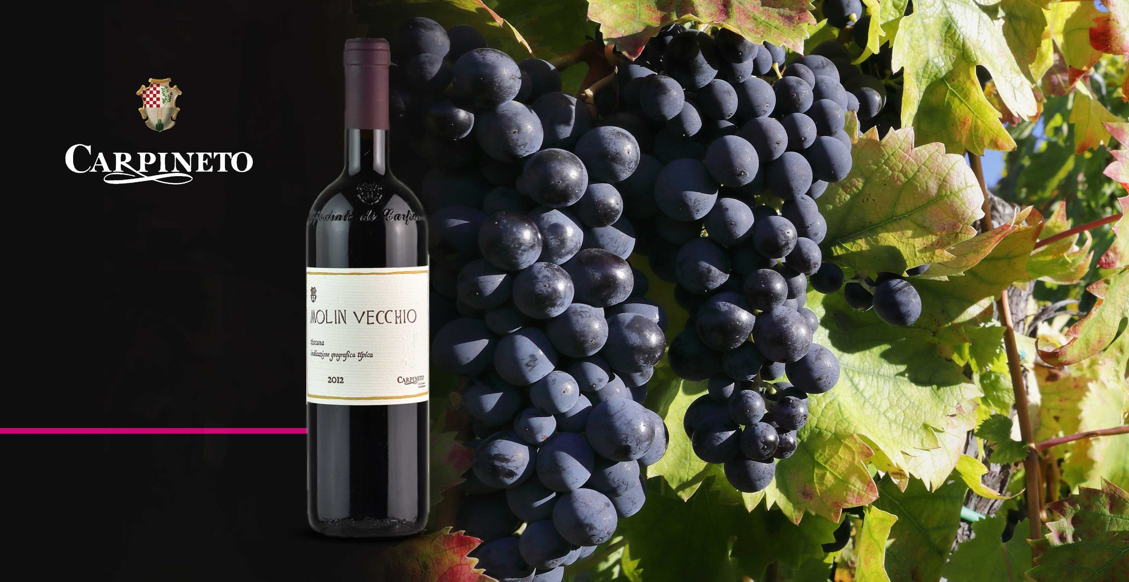 Vin rouge - Carpineto - Appodiato di Montepulciano Molin Vecchio