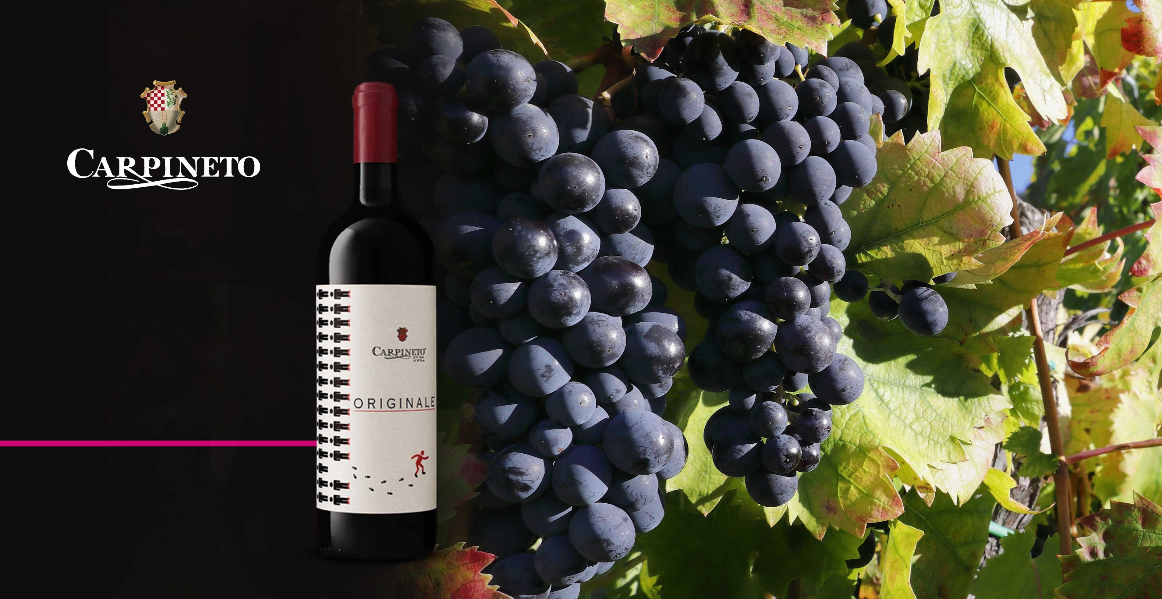 Vin rouge - Carpineto - Originale
